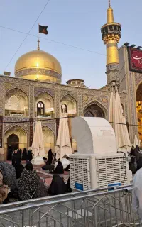 پابوس امام رضا