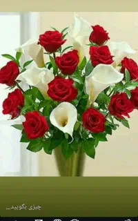 دو فیش حج عمره