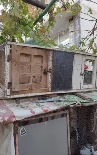 قفس چوبی