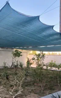 سایبان تورسبز بچه محل