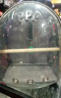 کیف پرنده