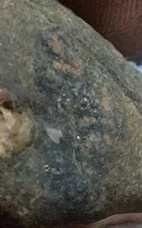 سنگ طلا فروشی