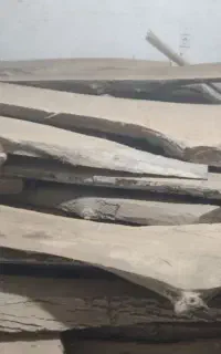 چوب گردو