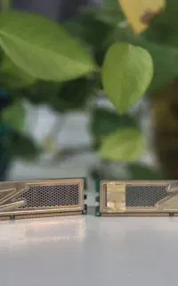 ۲ عدد رم کامپیوتر کلکسیونیPC۲ ۶۴۰۰ گلد DDR2