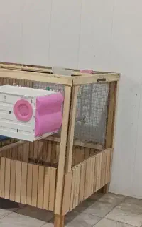 قفس پرنده