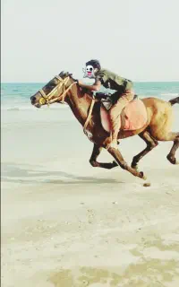 اسب سالم پول لازم