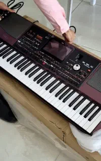 KORG pa1000