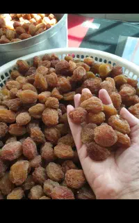 آلوی خورشتی آفتابی‌...