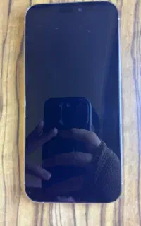 گوشی ایفون 15پرومکس