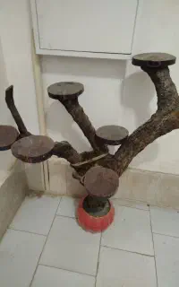 گل دان یا شلف چوبی ، درختی دست ساز