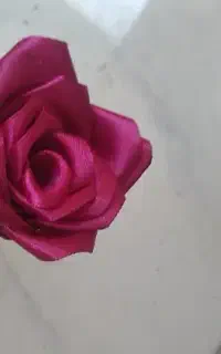 گل ربانی
