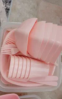 ظرف مسافرتی