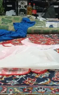 یه خانم واسه یک ساعت تمیزی منزل ال میخوام ۳۰۰ میدم