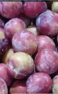 لواشک محلی