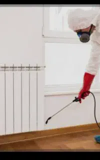 سمپاشی تضمینی صدرصد سوسک وموش وساس وحشرات خونخوار