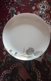 ظروف