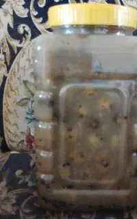 فروش ترشی انباهوک خونه