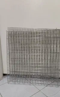 پارک حیوانات سگ خرگوش گربه و...