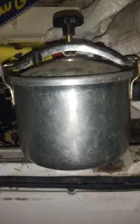 زودپزقدیمی