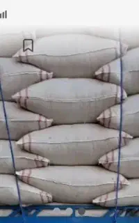 کاه گندم زار