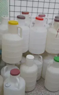دبه خیار شور