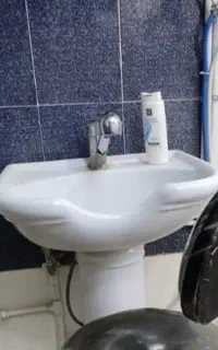 سرشور ایستاده