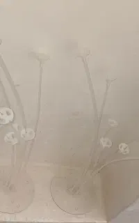 پک کامل تولد