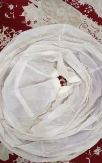 ژپون زیر لباس مجلسی
