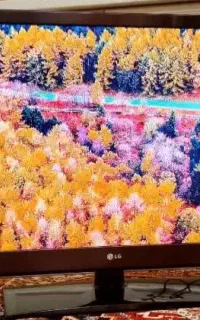 تی وی 43  ال جی