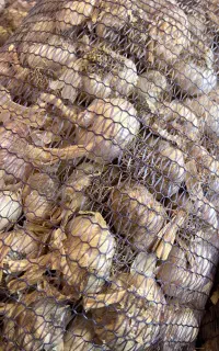 سیر خشک مغان