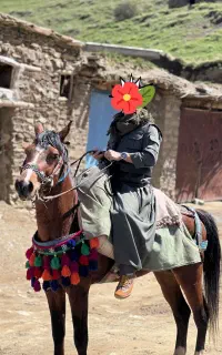 اسب پرر خون