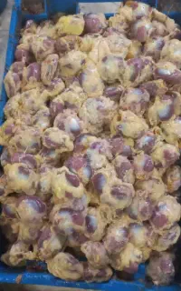 گوشت مرغ