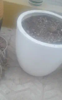 ۸عدد گلدان فانتزی و سالم