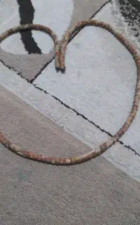 سرپ
