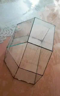 تراریوم شیشه ای
