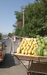 چهارچرخ میوه فروشی
