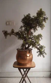 گلان مسی و گل برگ مصنوعی