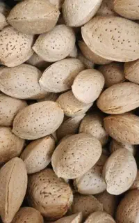 بادام خوش طعم سنگی