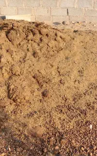 کود گوسفندی