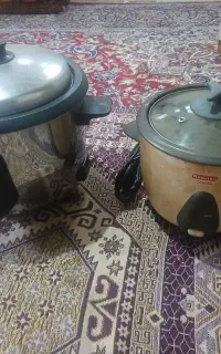پلوپز برقی