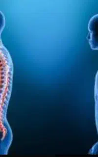 باحرکات اصلاحی زندگی بدون درد داشته باشیم