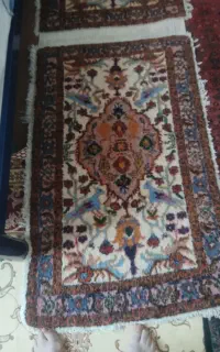 فرش طبیعی پادری