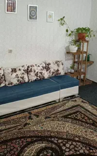 سویت ساعتی روزانه