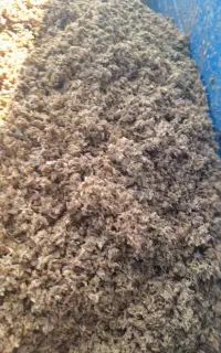 فروش تفاله جو