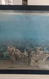 اکواریوم درجه یک