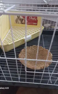 قفس خرگوش باهمه لوازم