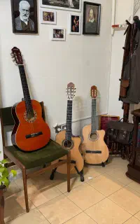 گیتار یاماها، پالادو