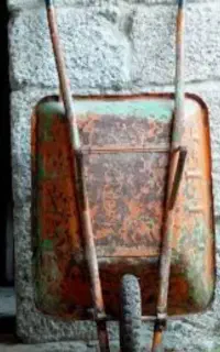 فرقون سالم کارکرده