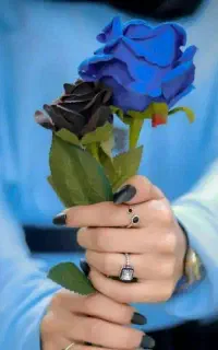 استخدام نیرو