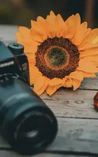 شات عکاسی خیابونی و طبیعت